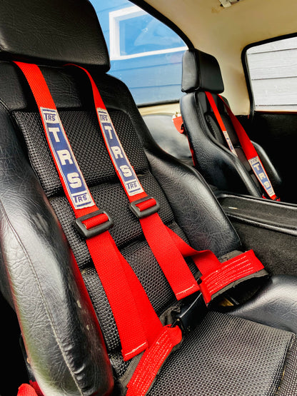 TVR Vixen S2 de 1969