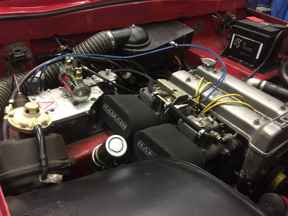 TVR Vixen S2 de 1969