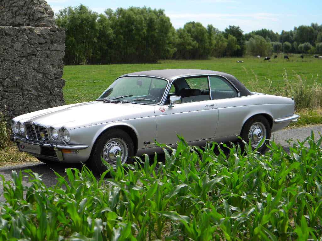Voiture Jaguar XJC Série 2 4,2 L, 6 cylindres de 1978, avec 140 000 km, vue de face sur fond blanc.